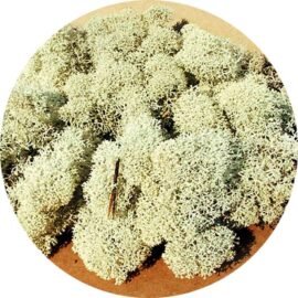 Heki 3212 Islandmoos grau 30 g