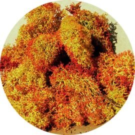 Heki 3216 Islandmoos schattiert 30 g