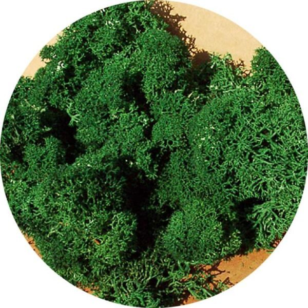 Heki 3220 Islandmoos dunkelgrün 75 g