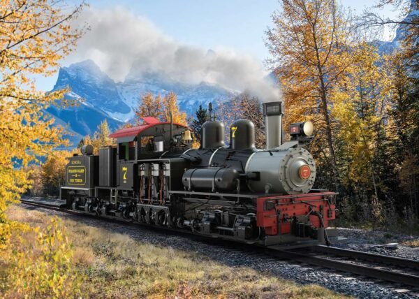 LGB 26701 RC & BT RR Dampflok Shay Nr. 7 – Bild 6