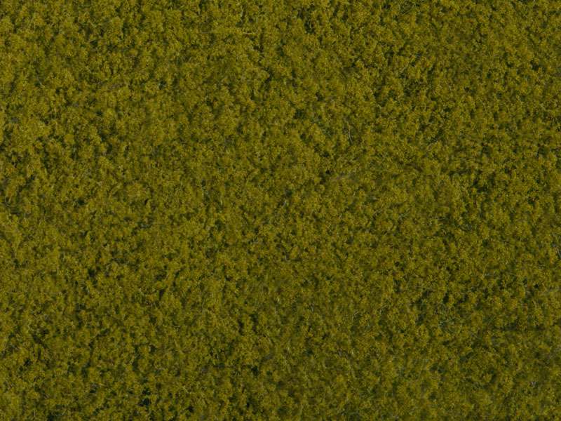 Noch 07270 Foliage