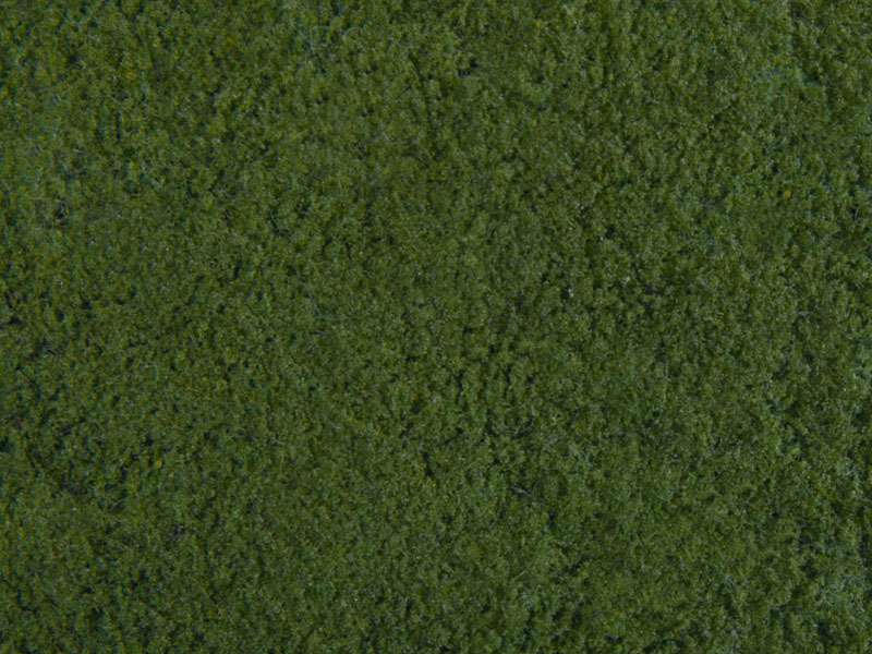 Noch 07271 Foliage