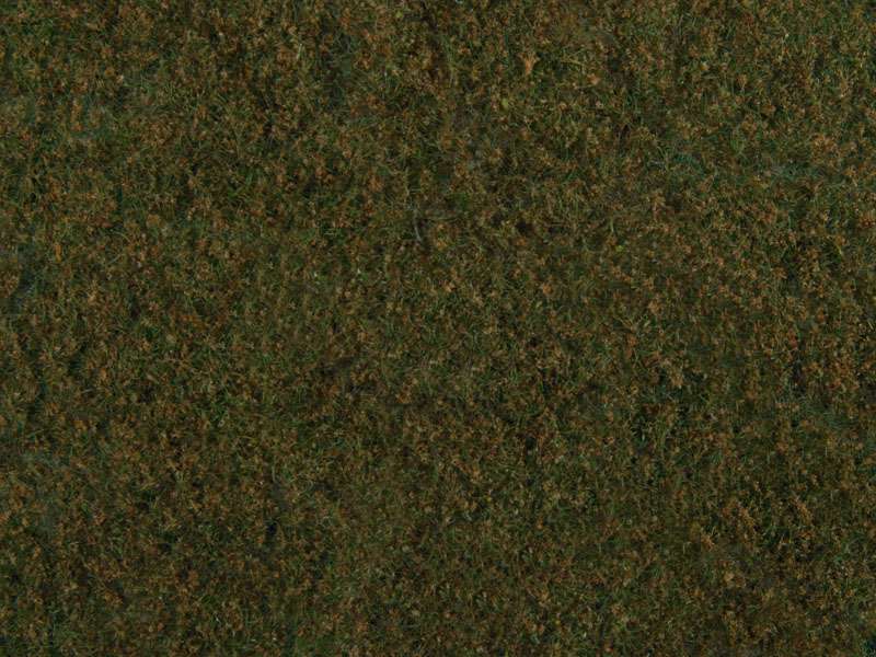 Noch 07272 Foliage
