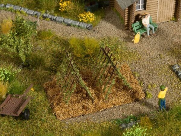 Noch 13225 Bohnenranken