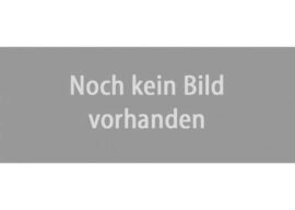Minitrix 66857 Lokdecoder 1000 mA für MTC14-Schnittstelle