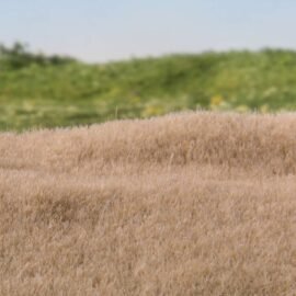 Woodland WFS616 2mm Static Grass Straw
